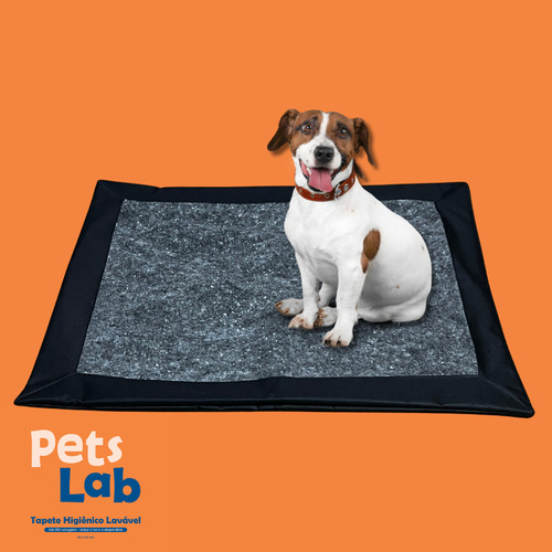 Kit Com 2 Tapetes Petslab Higiênico 60x50 Lavável