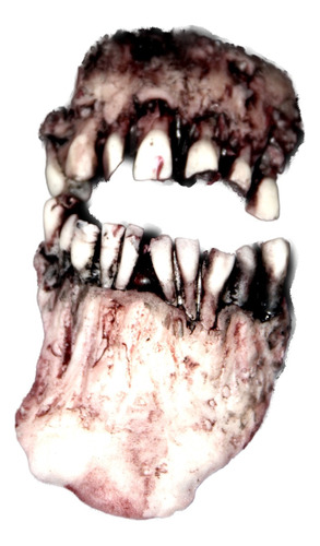 Dientes Falsos Para Maquillaje Externo Artcreationsfx