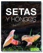 Setas Y Hongos