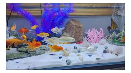 Adorno De Planta De Coral Artificial Para Acuario, Pecera Su