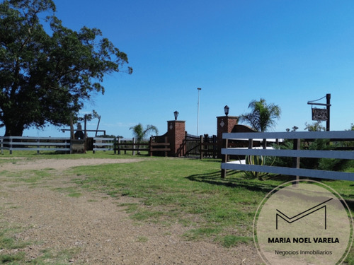Venta Campo Solís De Mataojo