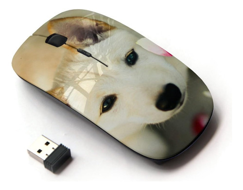 Mouse Inalambrico Koolmouse Optico (perro De Canaan) Usb 2.0