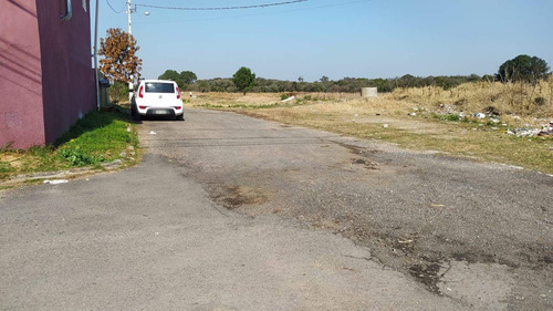 Imagem 13 de 14 de Casa 03 Quartos E 02 Vagas No Ipê, São José Dos Pinhais. - Ca0786
