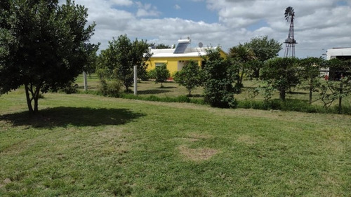 Imagen 10 de 30 de Excelente Chacra 3 Hectareas En Uruguay En El Departamento De Soriano, Permuta En Caba