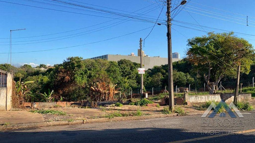 Imagem 1 de 6 de Terreno À Venda, 600 M² Por R$ 195.000,00 - Vila Rodrigues - Londrina/pr - Te0217