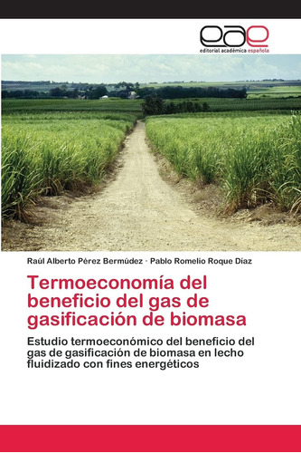 Libro: Termoeconomía Del Beneficio Del Gas De Gasificación D