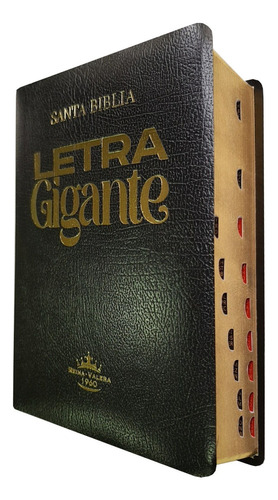 Biblia Reina Valera 1960 Letra Gigante Con Indice