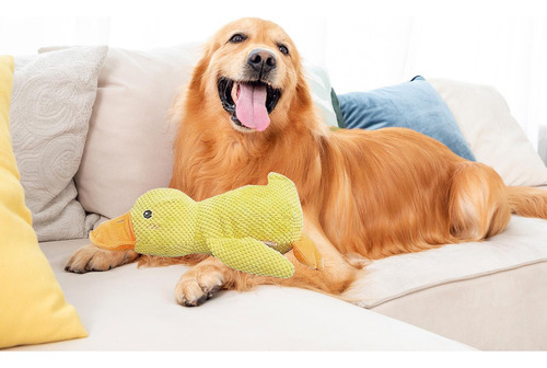 S Juguetes Para La Dentición Del Cachorro Juguetes Para