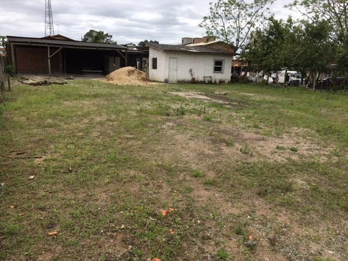 Imagem 4 de 15 de Terreno Comercial Para Locação Em Garopaba, Campo Duna - 83_2-796071