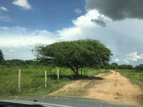 Midaly Vende Hermosa Finca, 240has, Entrada Al Tejero, A 250mts De La Virgen, Maturin, Monagas