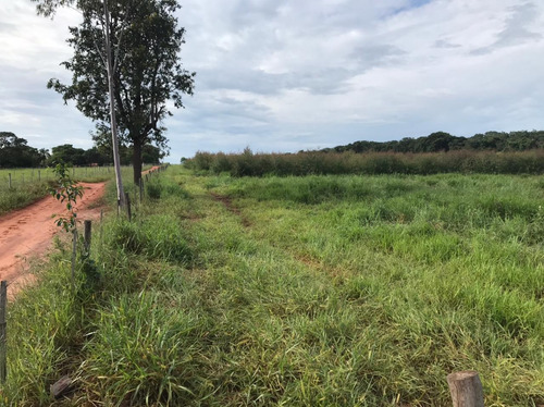 Imagem 4 de 6 de Arrendo 60 Hectares - Regiao De Arealva - Para Plantio
