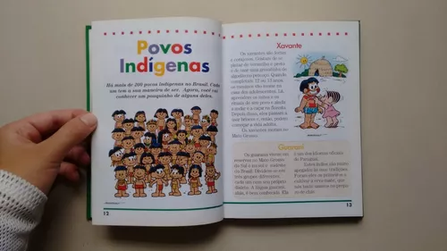 MANUAL DO INDIO DO PAPA-CAPIM: Mauricio de Sousa: 9788525032881:  : Books