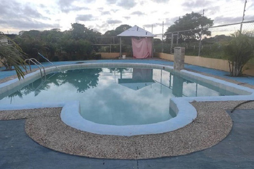 Imagen 4 de 11 de Rp Asein1110 Vende Hermosa Finca En Achagua, Estado Apure. Venezuela