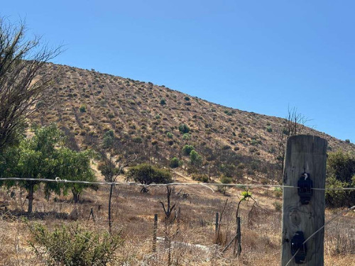 Lote C Sur 193has + Derechos De Aprovechamientode Aguas