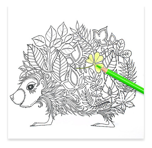 Libro Ilustrado Con Lápiz De Colores Para Niños Con Dibujo Y
