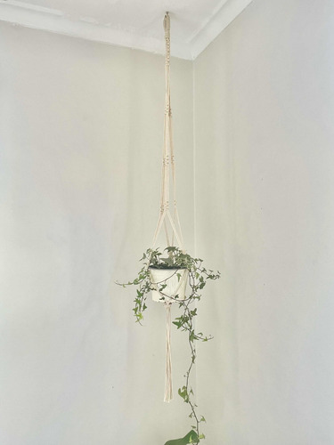 Imagen 9 de 10 de Colgante Para Macetero De Macramé