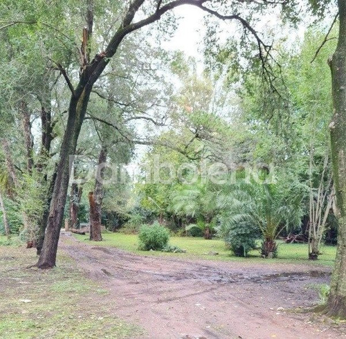 Imagen 4 de 9 de Terreno Lote En Venta O Permuta Ubicado En Berazategui, G.b.a. Zona Sur