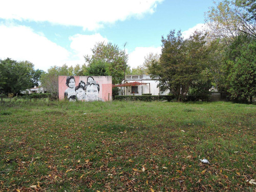 Imagen 6 de 7 de Lote En Pipinas