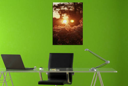 Vinilo Decorativo 60x90cm Sol Ocaso Sunset Deco Vinilo M8