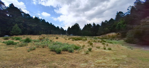 4.2 Hectáreas Con Manantial A 40 Minutos De Valle