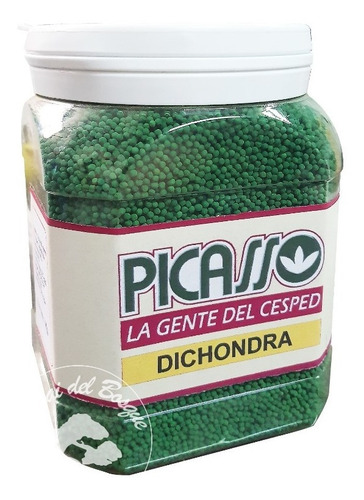 Semilla Cesped Dichondra Pasto Picasso X 1 Kg