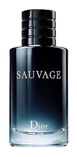Perfume Importado Hombre Dior Sauvage Edt - 100ml