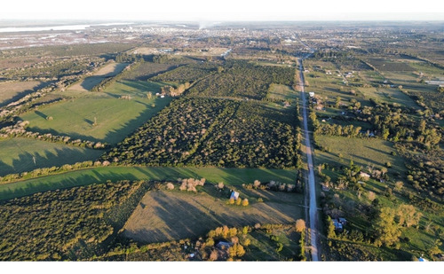 Vendo Casa De Campo En 3 Has En Concepción Del Uruguay, Entre Ríos.