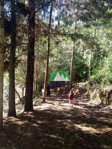 Chácara À Venda, 21000 M² Por R$ 160.000,00 - Centro - Rio Branco Do Sul/pr - Ch0030