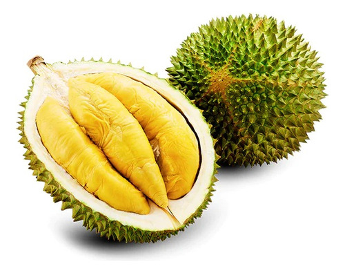 Durian, Arbolitos Injertos, Pregunte Costo De Envio