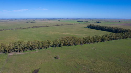 Campo En Venta Mixto 188ha San Andres De Giles