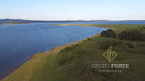Imagen 2 de 29 de Lotes En Quillinzo