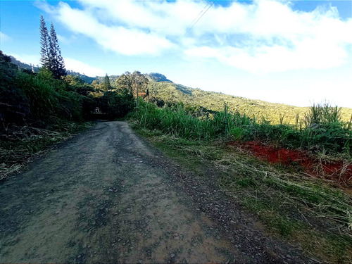 Venta Lote N° 1 En Parcelación Campestre Dapa