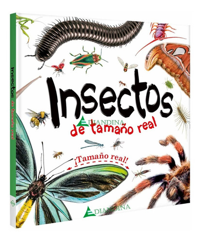 Libro Insectos De Tamaño Real