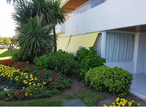 Departamento - Playa Mansa