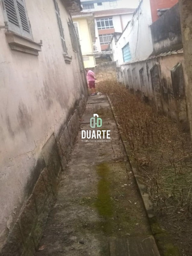 Imagem 3 de 5 de Terreno - Te00060 - 69858776