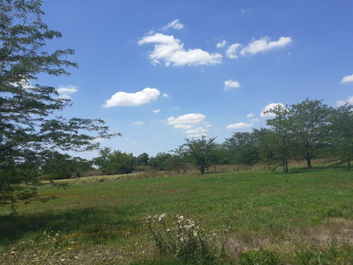 Imagen 7 de 8 de Av. Presidente Perón Al 1550 - Manzana 27 Lote 49