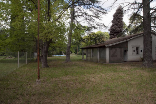 Venta De Quinta En Villa Elisa, La Plata