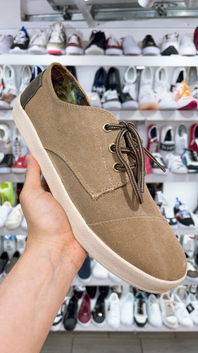 Zapato Toms Mod. Paseo Brown Canvas Lion Para Hombre