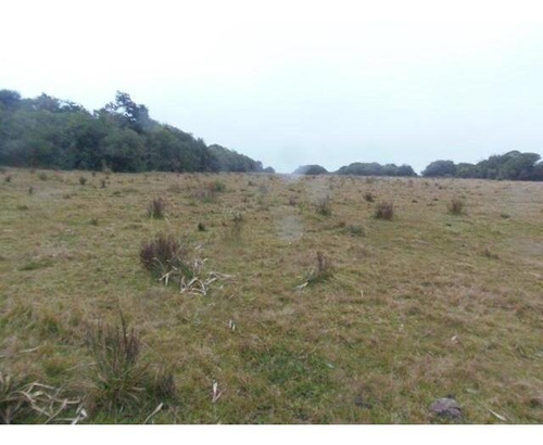 Campo En Venta En Lavalleja, 121 Hectáreas