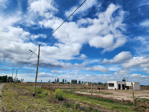 Terreno En Venta - 1.000mts2 - San Rafael, Mendoza