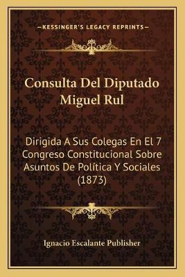 Libro Consulta Del Diputado Miguel Rul : Dirigida A Sus C...