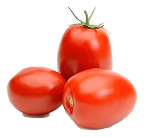 Tomate Rasteiro Rio Grande 3.000 Semente Cultive Em Hortas