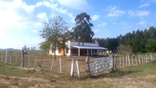 Imagen 26 de 26 de Vendo Chacra De 15 Has. Con Casa De Campo Muy Cerca Del Centro De Esquina, Corrientes!!!!!!