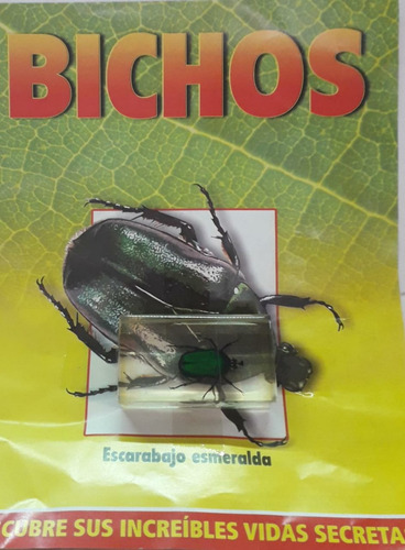 Bichos - Escarabajo Esmeralda  + Fascículo - Rba