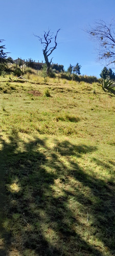 Bonito Terreno Panoramico Con Servicios