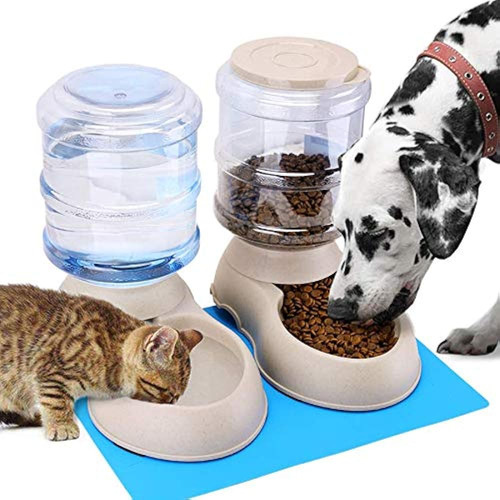 Comedero Automático Para Gatos Y Dispensador De Agua En Jueg