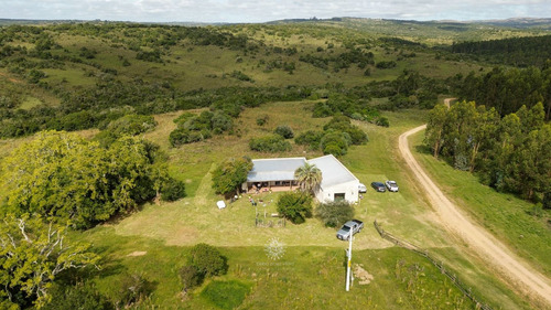 Chacra En Venta Maldonado, Gran Tapera Rec. 240m De Arroyo (ref: Bpv-10530)