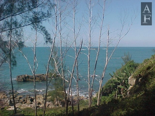 Terreno Para Venda Em Praia Do Ouvidor Garopaba-sc - Tv105