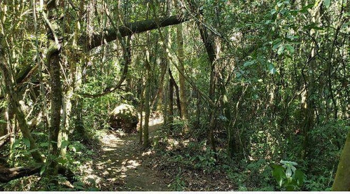 Imagem 4 de 14 de Terreno À Venda, 1000 M² Por R$ 260.000,00 - Condomínio Fazenda Jequitibá - Sorocaba/sp - Te1443