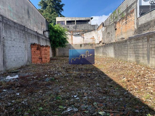 Imagem 3 de 6 de Terreno À Venda, 360 M² Por R$ 1.200.000,00 - Vila Do Encontro - São Paulo/sp - Te0157
